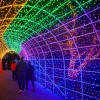 Tunnel-of-Lights-1